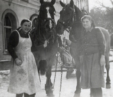 5/981 FOTO LANDWIRTSCHAFT PFERDE FRAUEN - ALTE ZEITEN