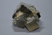 Pyrit mit Ankerit #88