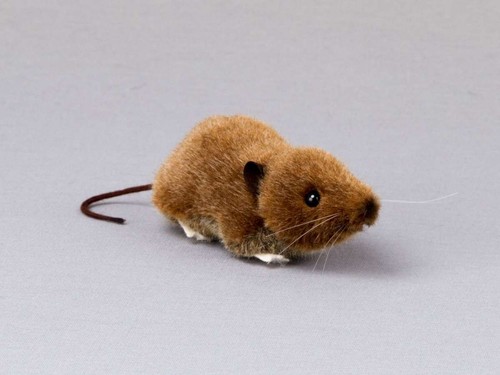 Kösen spitzmaus braun cm - kÖsen,