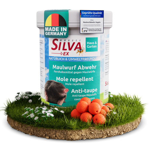 Silva 100er pack - pack, maulwurf