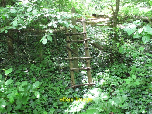 Foto 6x4 grobschwellenleiter - foto,