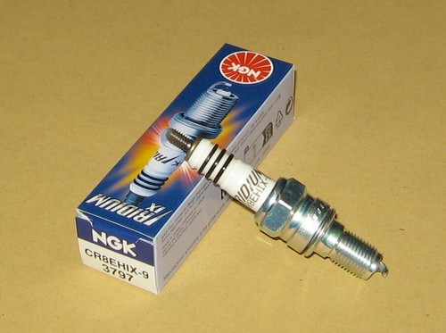 Zündkerze ngk iridium - ngk,