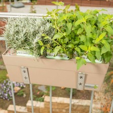 Kräuterbox-Halter BALKON
