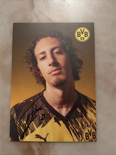 Fabio silva bvb borussia - silva,