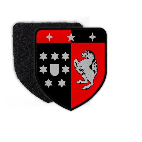 Patch panzerbataillon 203 - patch,