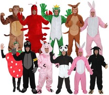 Kostüm offen karneval - kostÜm,