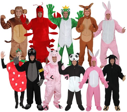 Kostüm offen karneval - offen,