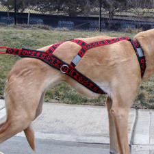 Hybrid Light Weight™ Harness