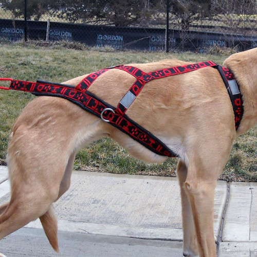 Hybrid light weight - weight™, harness