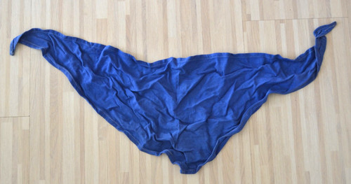Frühes blaues pionierhalstuch - frühes,