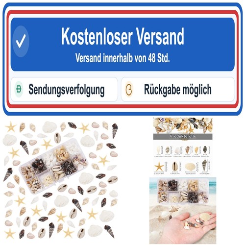 200 stück muscheln zum - 200,
