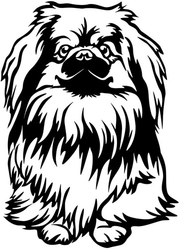 Pekinese kleinpudel aufkleber - pekinese,