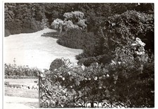 Vintage Foto Parkgarten 1920er