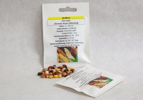 Ziermais amero zea mays samen - ziermais,