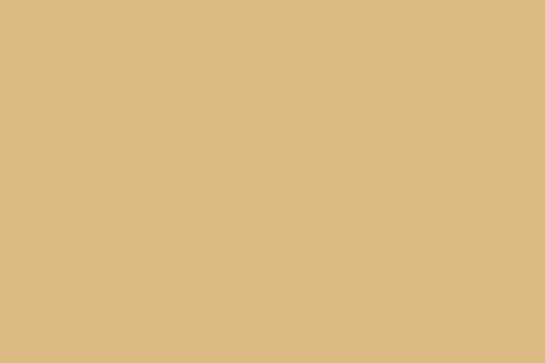 Montana cans gold 400ml - gold, 193