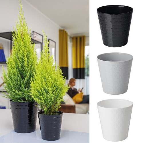 Blumentopf pflanzentopf - blumentopf,