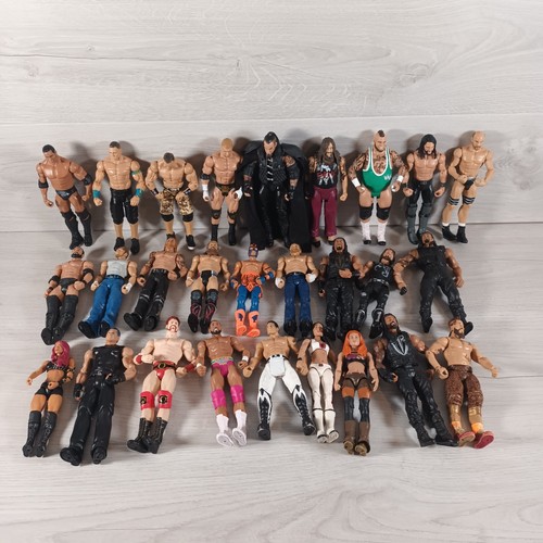 Diverse wwe mattel wrestling - diverse,