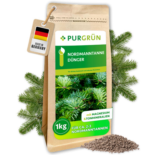 Purgrün nordmanntanne - purgrün,