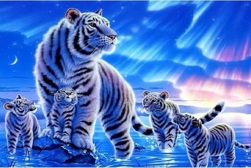 Weiße tigerfamilie puzzle - tigerfamilie,