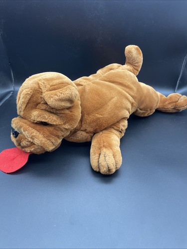 Aeg shar pei hund chinesischer - aeg,