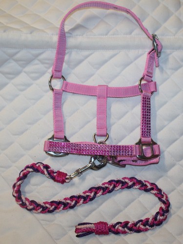 Strass minishetty - strass,