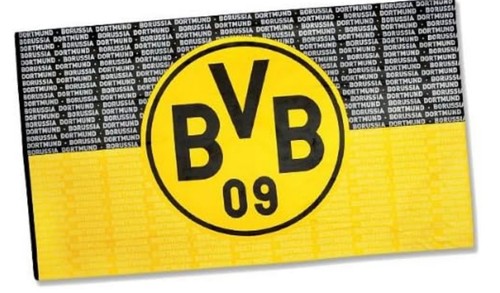 Bvb borussia dortmund - borussia,