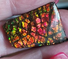 Rot-orange-grüner Drachenschuppen Ammolit       (K03)