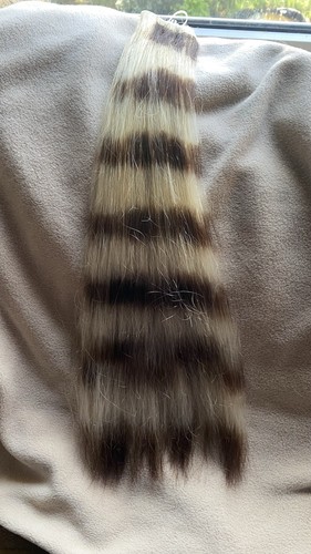 Echthaar tresse auf - echthaar,