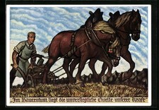 Künstler-AK sign. W. Fahrenbruch: Bauer mit Pferdepflug, Im Bauerntum liegt die 