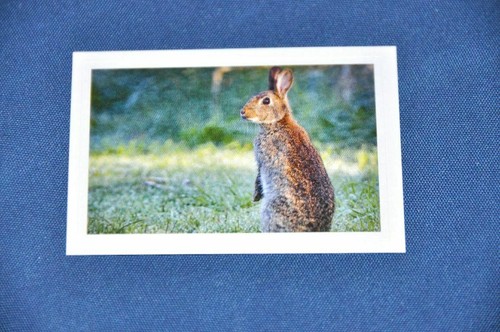 Rewe abenteuer tierwelt - rewe,
