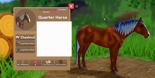 Iuh quarter horse - horse,