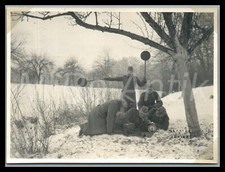 Foto WW2 3/Lw.Art.Abtl. 14