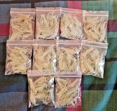 100 leuchtende silikon - 100,