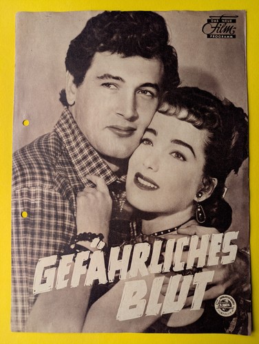 Dnf gefährliches - /,