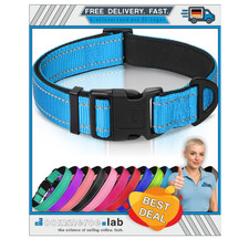 Hundehalsband Neopren Nylon