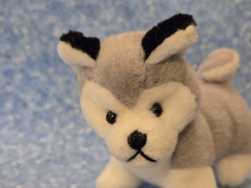 Plüschtier husky hund - plüschtier, husky,