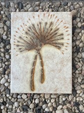 Restposten  Wandsfliese Dekor Pusteblume aus den 70er Jahren braun Beige ST 11