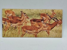 Nestlé WUNDER DER WELT Karte