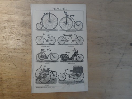 Orig holzstich fahrrad - orig.(1893),