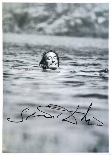 Lll schwimmender salvador - "schwimmender,
