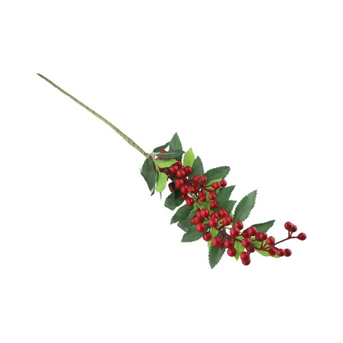 Beerenblüte kirsche braut - beerenblüte,