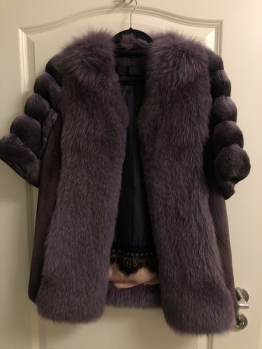 Luxus traumhafte chinchilla - !!,