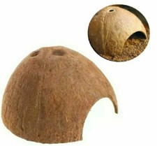 Aquarium Terrarium Kokosnuss