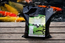 DAS KOIFUTTER GRÜN - für