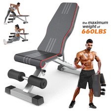 Hantelbank Trainingsbank