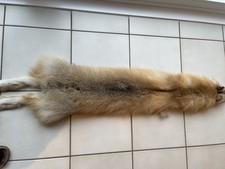 Fuchsfell echt, Golden Island