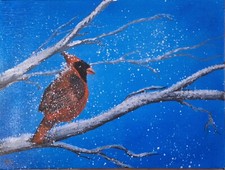 Rotkardinal vogel acryl - rotkardinal,