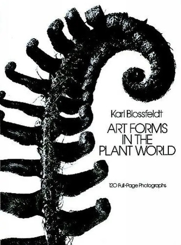Art forms the plant - forms, in