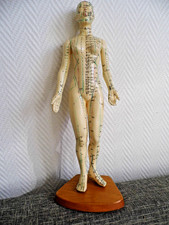 Medizinische Figur  Anschauung