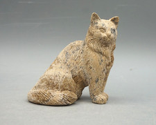 NORWEGISCHE WALDKATZE aus